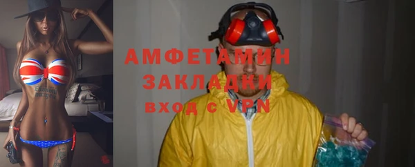 мдпв Богородск