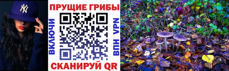где продают наркотики Ессентукская mega ссылки Псилоцибиновые грибы мухоморы